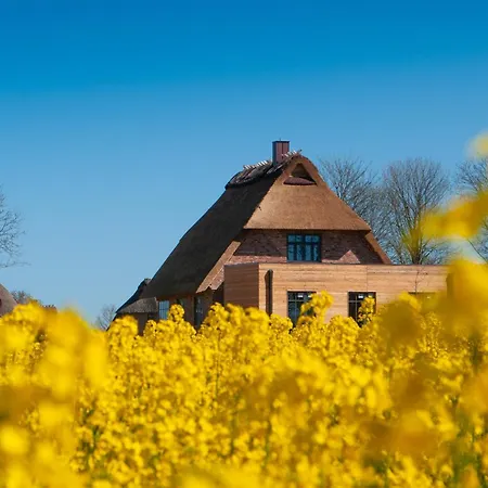 Reetdorf Geltinger Birk Atelierhaus Steilküste *